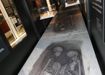 On són?, l’exposició que recupera la memòria històrica de les fosses de la Guerra Civil
