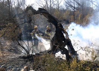 Controlat l’incendi del Perelló