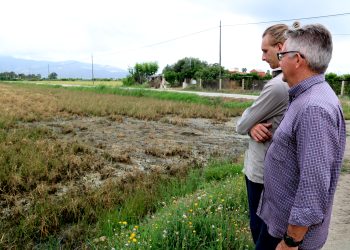 La realitat de la falta d’aigua al Delta: més salinitat, menys arròs i més caragol maçana