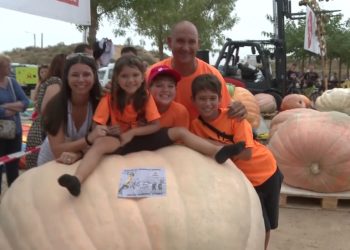 Amb una carabassa de 614 quilos no en té prou: ara vol fer-ne una de 1.000 quilos