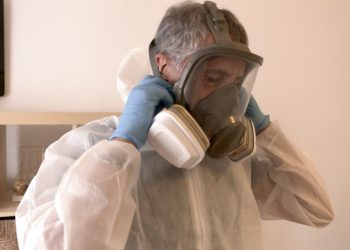 No ens hem de preocupar per les xinxes pudents, però sí per les xinxes de llit