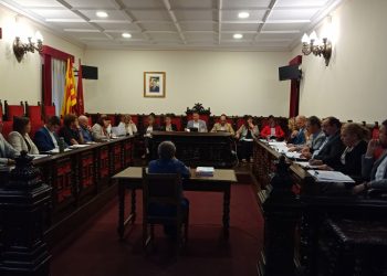 El govern de Tortosa aprova les noves ordenances amb al vot favorable de la CUP