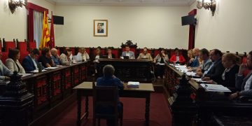 El govern de Tortosa aprova les noves ordenances amb al vot favorable de la CUP