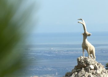 Un extreballador del MOPU recorda com van pujar al Port el monument de la cabra