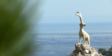 Un extreballador del MOPU recorda com van pujar al Port el monument de la cabra