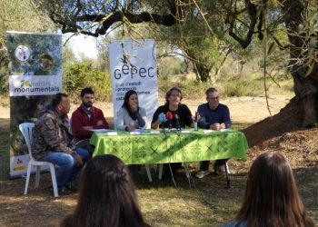 Saó, l’oli del projecte del GEPEC per protegir les oliveres monumentals i salvar finques
