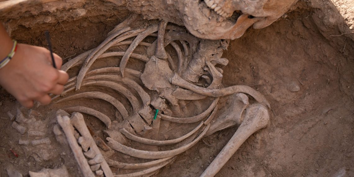 L’excavació a la fossa de l’ermita del Remei de Flix recupera les restes de 57 individus