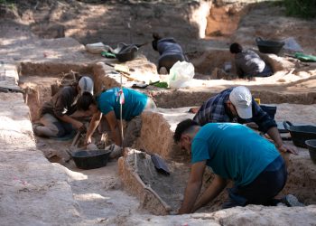 L’excavació a la fossa de l’ermita del Remei de Flix recupera les restes de 57 individus