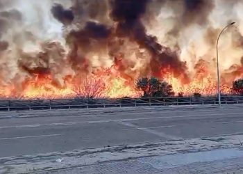 Un espectacular incendi de vegetació obliga a confinar dos empreses del polígon i el poble de Campredó