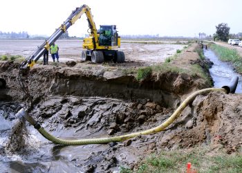 Implanten a l’hemidelta esquerra de l’Ebre un sistema de drenatge de l’aigua salada per millorar els conreus