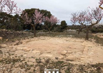 Denunciat per la via penal per buscar i endur-se restes de valor del jaciment ibèric de coll del Moro de Gandesa