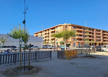 ‘Respectem els arbres urbans’, per Marga Abelló