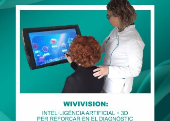 WIVI VISION
