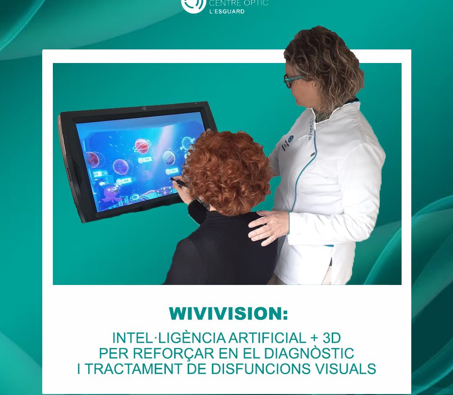 WIVI VISION