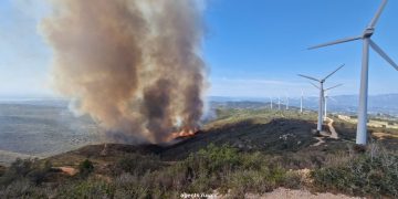 Detenen un home de 43 anys per la crema que va originar l’incendi del coll de l’Alba