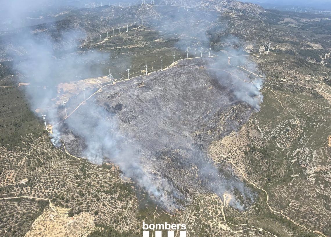 Detenen un home de 43 anys per la crema que va originar l’incendi del coll de l’Alba