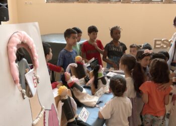 Així és l’exposició ‘Tortosa, la nostra ciutat’, creada pels alumnes de l’Escola Remolins