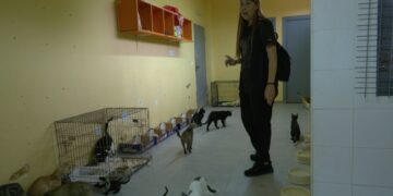 Col·lapse a Petjades de l’Ebre per haver d’atendre més gossos i gats abandonats