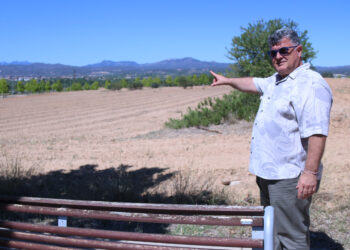 Móra la Nova i Tivissa modifiquen el planejament del polígon industrial del Molló per atreure-hi empreses