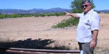 Móra la Nova i Tivissa modifiquen el planejament del polígon industrial del Molló per atreure-hi empreses