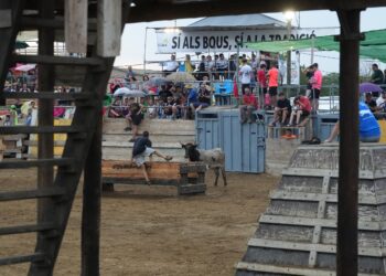 L’abans i l’ara de les festes amb bous a l’Ebre