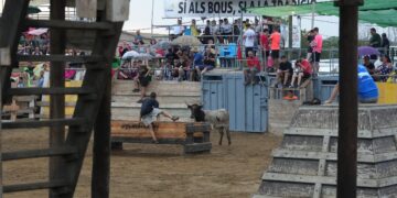 L’abans i l’ara de les festes amb bous a l’Ebre
