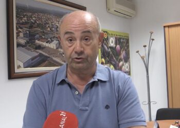 La sequera castigarà la producció d’oli d’oliva al Baix Ebre i Montsià, amb caigudes del 90%