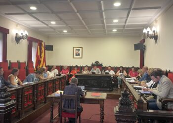 Tortosa aprova la municipalització temporal del pàrquing de la plaça Alfons XII