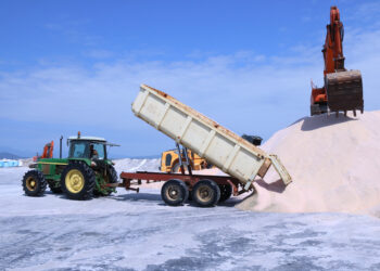 La sequera beneficia la collita de sal del delta de l’Ebre, que pot arribar a les 120.000 tones