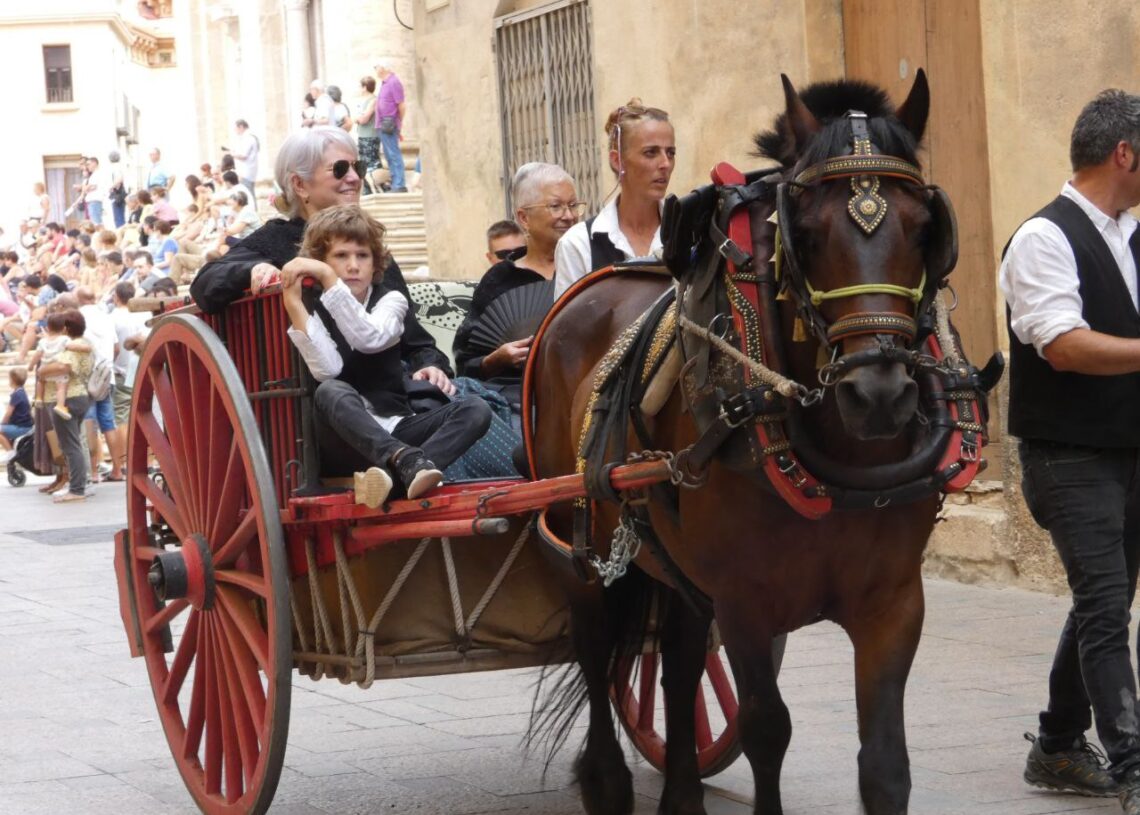 Fem un tomb per les Festes de la Cinta 2024