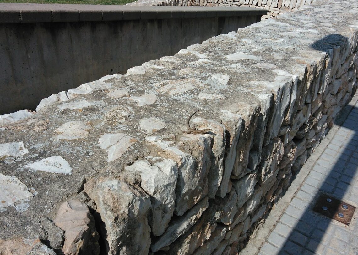 ‘Sobre frontisses i màrgens, o la fragilitat de la marginalitat’, per Joana Subirats Àlvarez