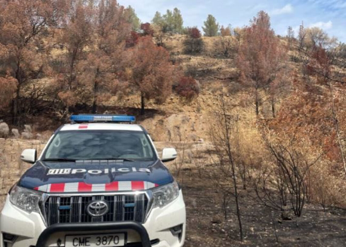 Mossos i Agents Rurals detenen in fraganti a Xerta quatre lladres amb una setantena d’antecedents policials acumulats