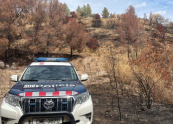 Mossos i Agents Rurals detenen in fraganti a Xerta quatre lladres amb una setantena d’antecedents policials acumulats