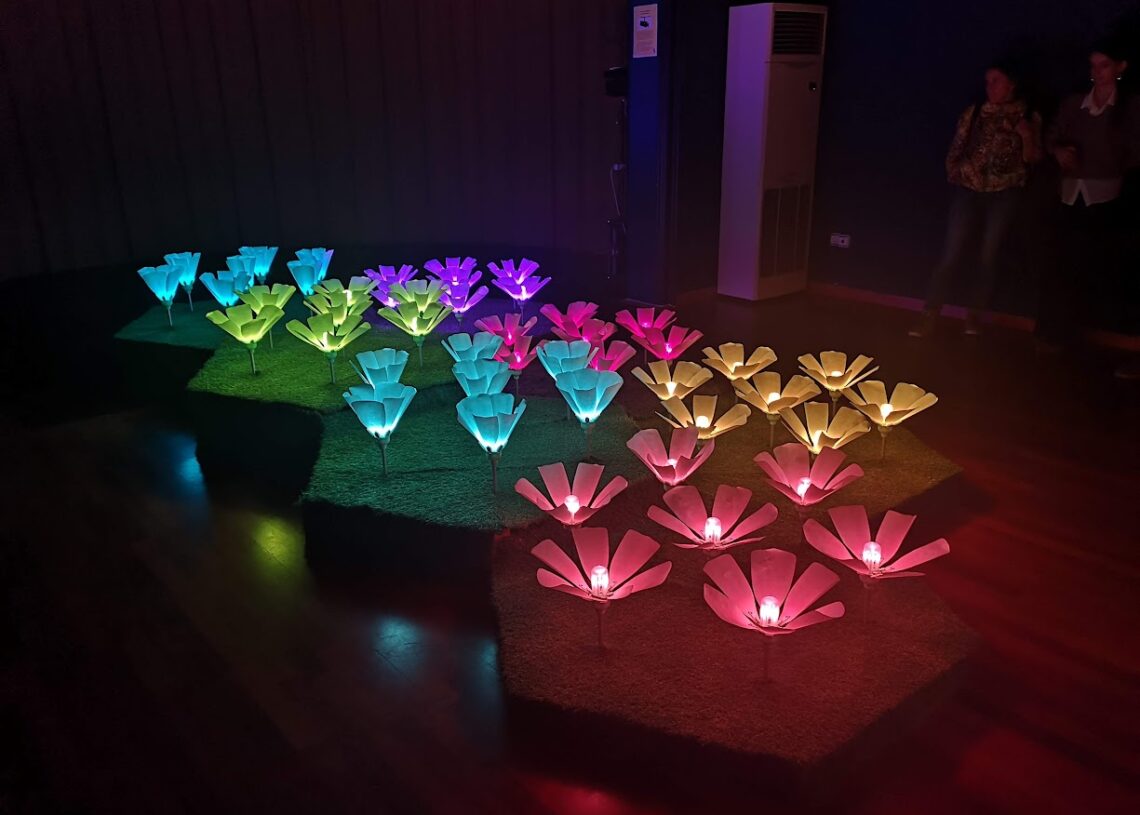 ‘La dansa de les flors al COAC’, per Enric Roig