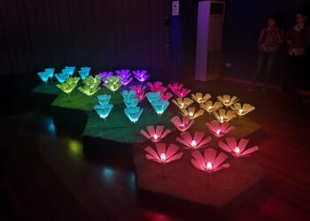 ‘La dansa de les flors al COAC’, per Enric Roig