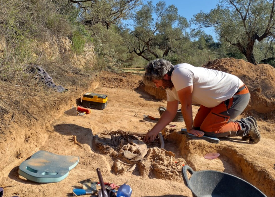 Exhumen les restes de dos soldats republicans en una fossa d’Ascó, un d’ells vinculat a Sant Boi de Llobregat