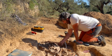 Exhumen les restes de dos soldats republicans en una fossa d’Ascó, un d’ells vinculat a Sant Boi de Llobregat