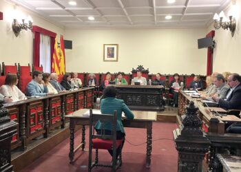 El ple de Tortosa modifica el POUM per poder construir el nou hospital en terrenys qualificats d’inundables