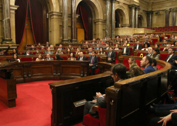 El Parlament aprova tramitar per lectura única la proposició de llei del PSC per un Fons Agrari