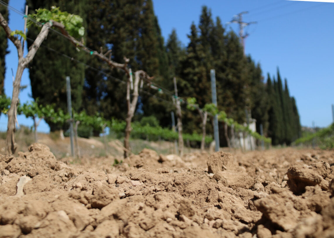 Matemàtiques recreatives dominicals (65)