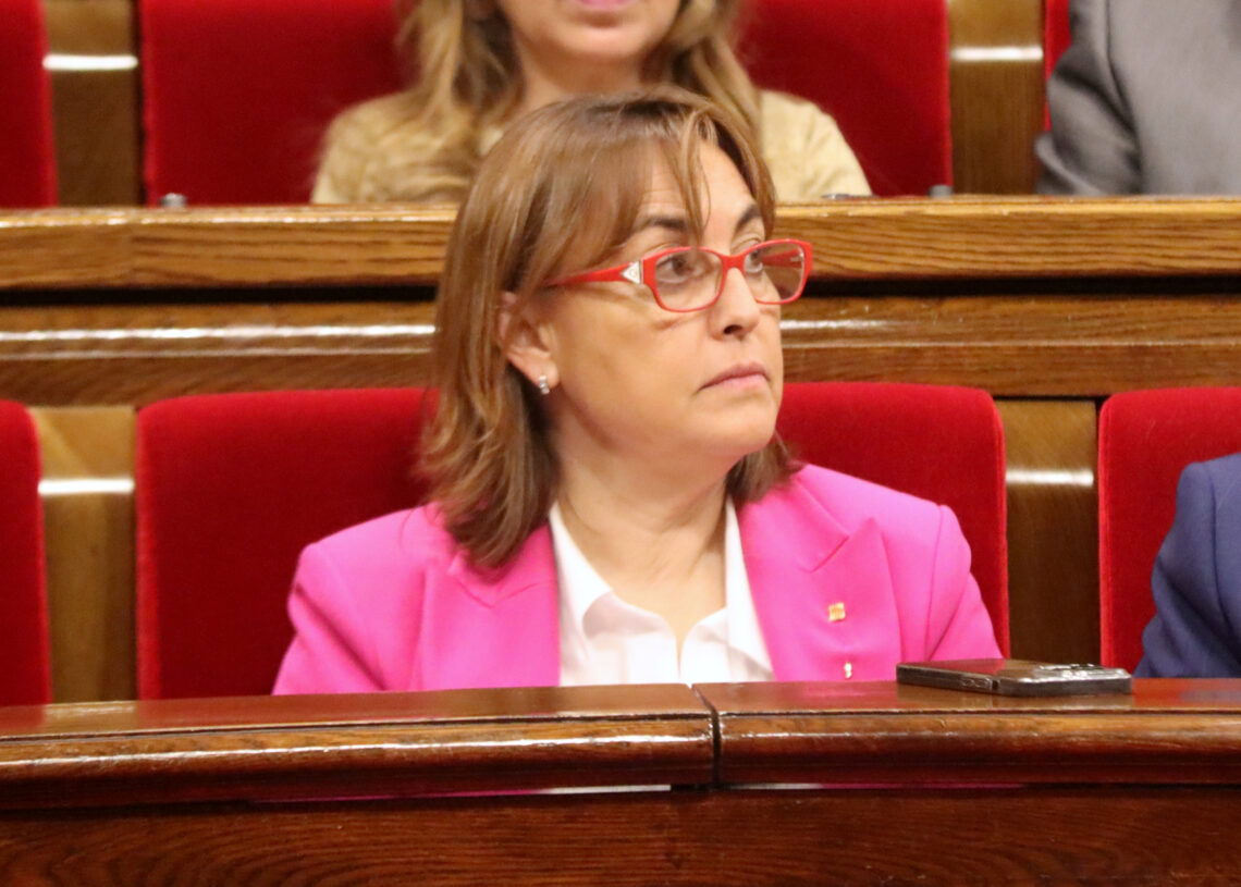 Paneque estudiarà la connexió de la xarxa de l’Ebre amb Barcelona però diu que no està inclosa en els plans fins al 2030