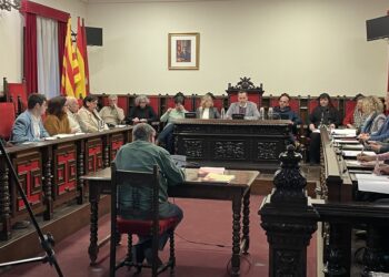 L’Ajuntament de Tortosa aprova la revisió de preus de l’enllumenat públic