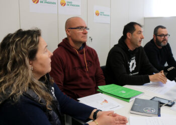 Unió de Pagesos preveu pèrdues de més del 85% de collita d’oliva a l’Ebre i reclama mesures per frenar els estornells