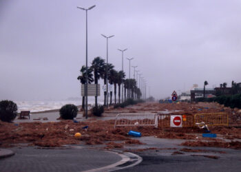 La Taula de Consens reclama celeritat i accions contundents cinc anys després del temporal Glòria