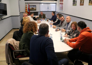 Una desena d’ajuntaments del Baix Ebre i Montsià recelen de la ubicació del nou hospital a Tortosa