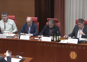 Els productors d’oli reclamen al Parlament modernitzar el regadiu per garantir el futur del sector
