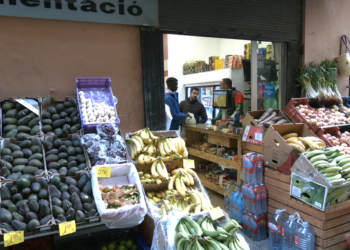La fruiteria del carrer Montcada de Tortosa recupera la normalitat dies després que un home hi calés foc