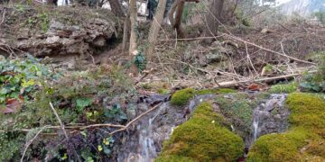 Netegen la massa forestal del Toscar als Ports per prevenir futurs incendis