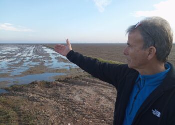 Unió de Pagesos qualifica de ‘pedaços’ les actuacions al delta de l’Ebre