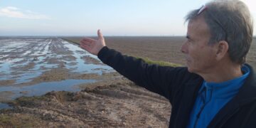 Unió de Pagesos qualifica de ‘pedaços’ les actuacions al delta de l’Ebre